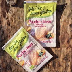 Praf de Copt Bio Fara Gluten Fara fosfati Fara Amidon 40g